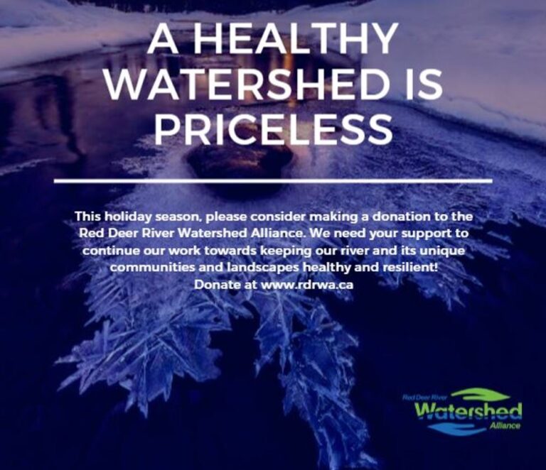 Give the Gift of a Healthy Watershed This Holiday Season